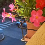 Fiori in balcone, vista su villa